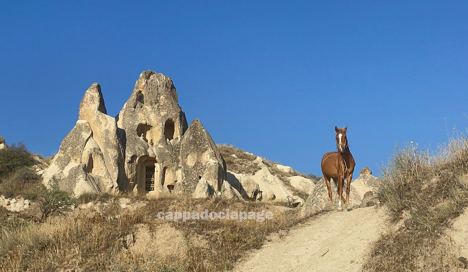 Kapadokya Kiliseleri